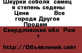 Шкурки соболя (самец) 1-я степень седены › Цена ­ 12 000 - Все города Другое » Продам   . Свердловская обл.,Реж г.